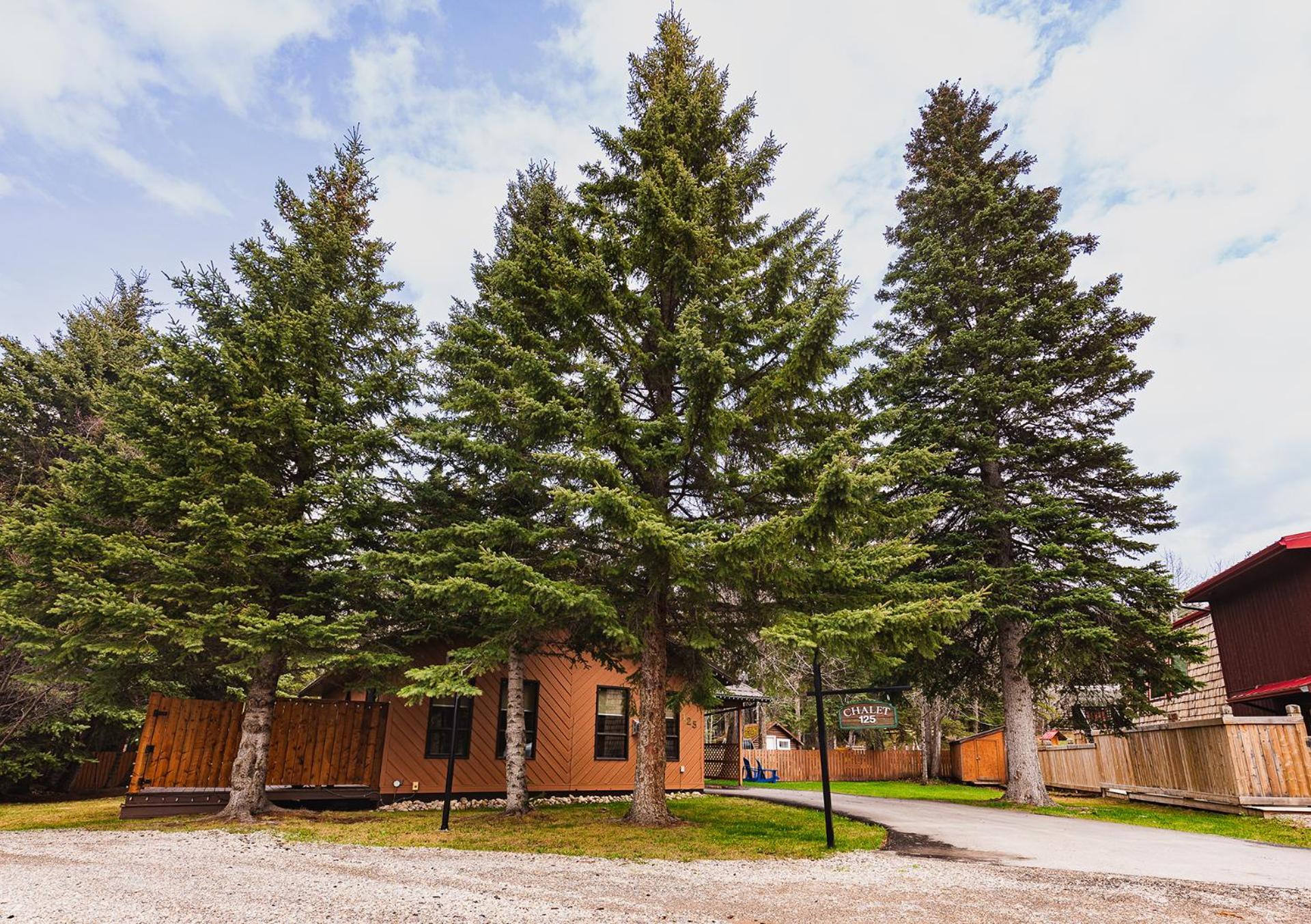 Overlander Mountain Lodge Jasper Exterior photo